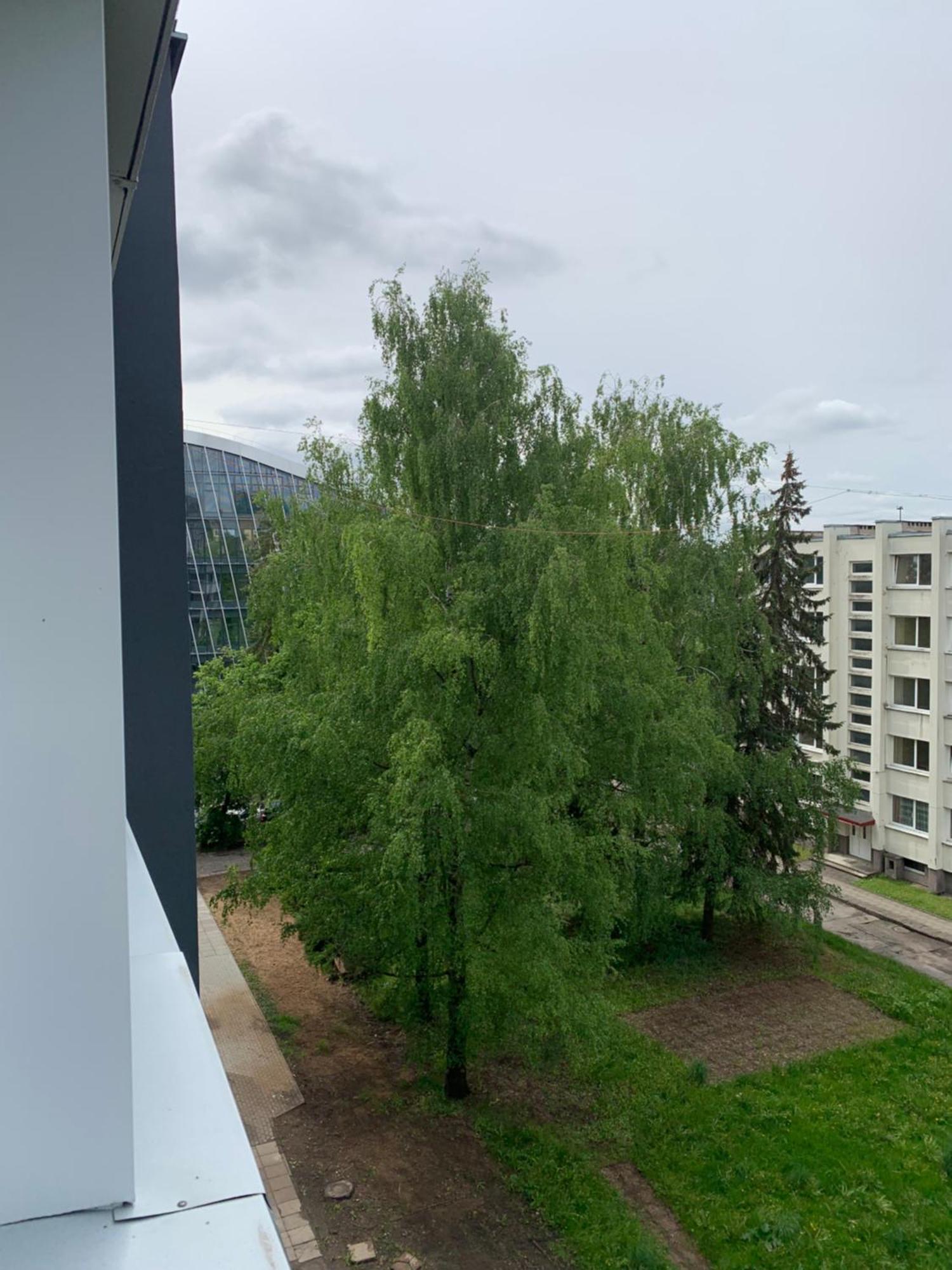 Zveryno Studija Vilnius